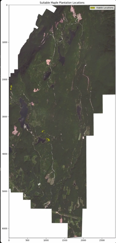 Suitable Maple Plantation Locations overlaid on SPOT imagery