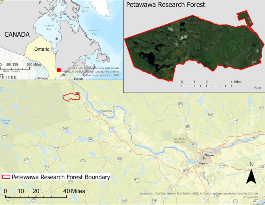 Petawawa Research Forest Study Site