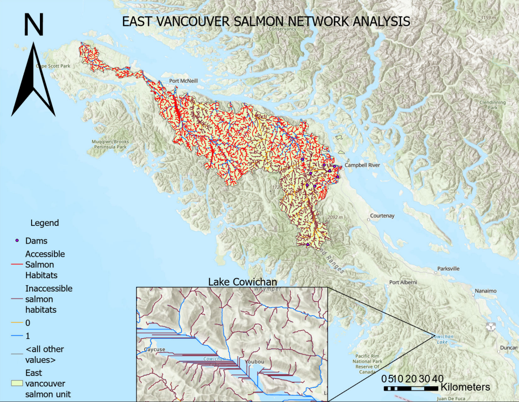 East Vancouver Salmon Network Analysis Map
