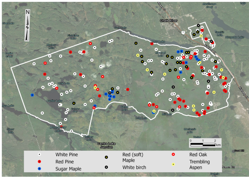 Ground Plot Species Distribution